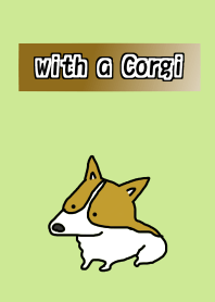 with a Corgi