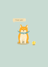 for DOG use