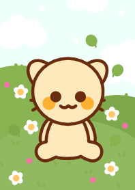 Cute orange cat 14 :)