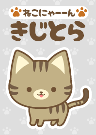 cat-2-