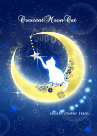 Crescent Moon Cat night
