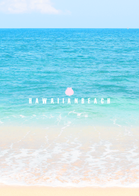HAWAIIAN BEACH -MEKYM- 11