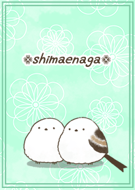 大人爽やか✨雪の妖精✨シマエナガ