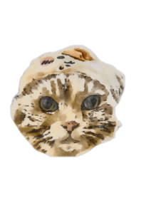 mydearcat