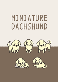 Doodle yellow Miniature Dachshund
