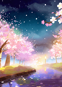 Beautiful night cherry blossoms#1040