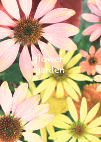 flower garden photo theme