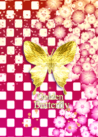 Cabbage butterfly.#74-1