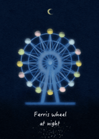 -Ferris wheel at night-