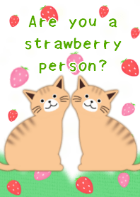 裝扮-白色的-wihte-鳥-棕色的猫-草莓
