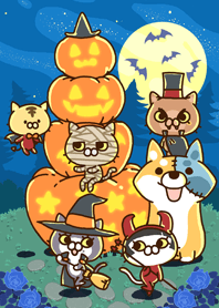 Talking Cat's Halloween2019