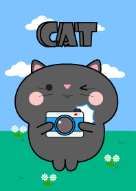 Be Cute Black Cat Theme