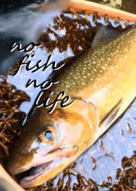 岩魚（イワナ）渓流釣り好きの方に