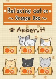 Relaxing cat No.05 [orange box]