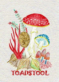 Jamur jamur