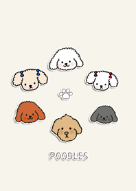 Many poodles!