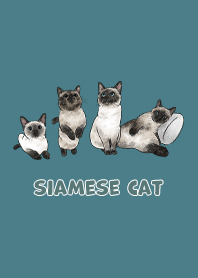 siamesecats3 / neil blue