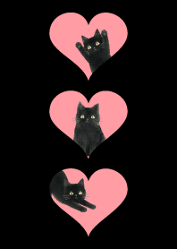 A unique cat19 black