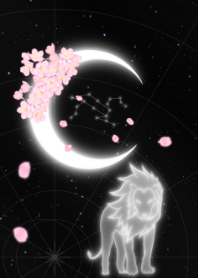 新月-Leo-