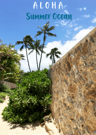 ALOHA Summer Ocean Lanikai 56
