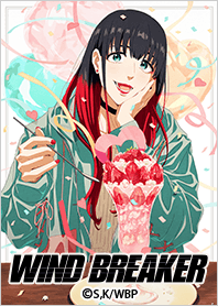 TVアニメ「WIND BREAKER」Vol.30