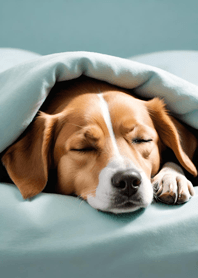 Mountain, Sea, and Moonlit Night f78156