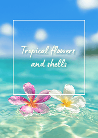 Floating Flowers (PR) - 08 Mint