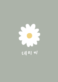 korea daisy(dustygreen)#JP