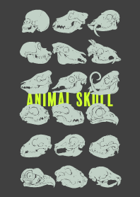 ANIMAL SKULL+