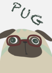 Megane pug