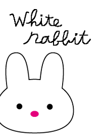 RABBIT WHITE!