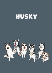 husky1 - dark steel blue