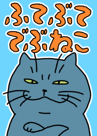 so cute fat cat