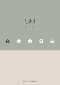 313.10_smoky matte ash brown2-6