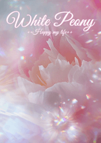 ++White Peony++