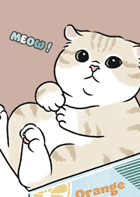 neko single17 / nude