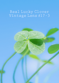 Real Lucky Clover Vintage Lens #17-3
