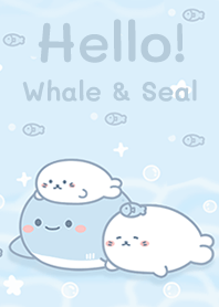 Hello! Whale & Seal