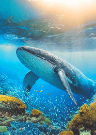 Fantasy tale of the sea54