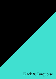Black & Turquoise