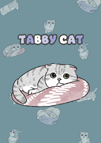 tabbycat9 - teal blue
