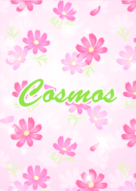 Cosmos-2 pink