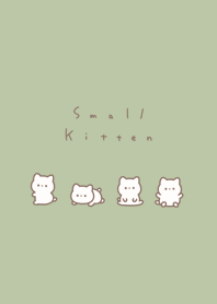 small kitten/pistachio