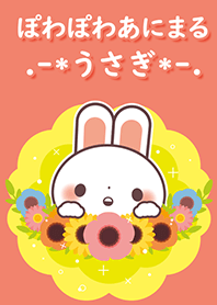 Theme for powapowa animal rabbit!