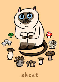 叫杏鮑菇的暹羅貓