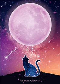 グングン運気上昇✨紫の満月と黒ネコ