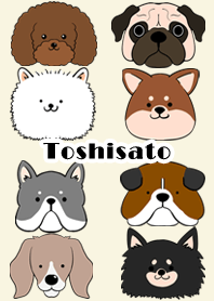 Toshisato Scandinavian dog style