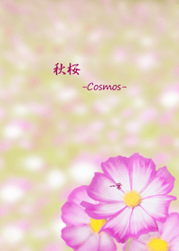 -Cosmos-