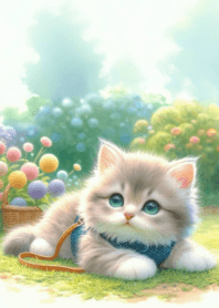 Fat cat cute cuddly n.68