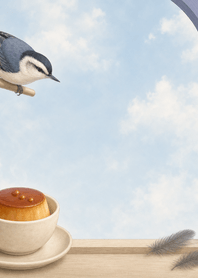 白胸鳾鳥與楓糖布丁的天空窗